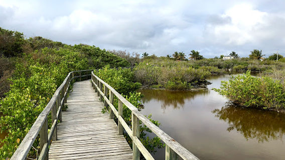 Pozas Salinas de Puerto Villamil