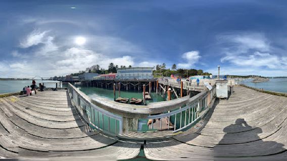 Clearwater Sea Lion Docks