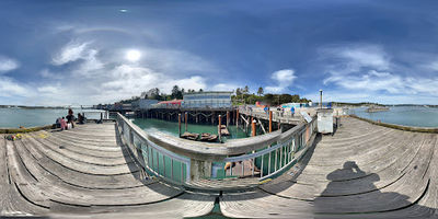 Sea Lion Docks