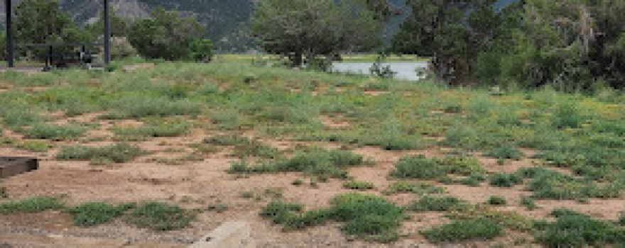 Carracas Campground