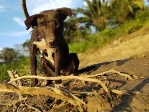 Playa Ejidal