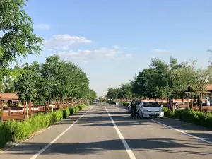Karaaslan Hobi Bahçesi
