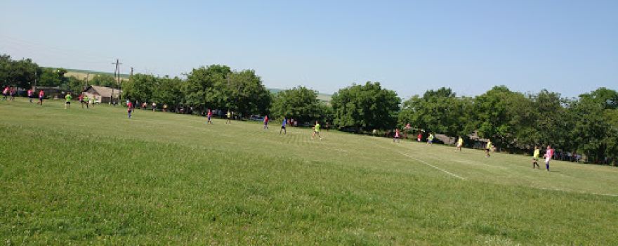 Stadion Stoicani