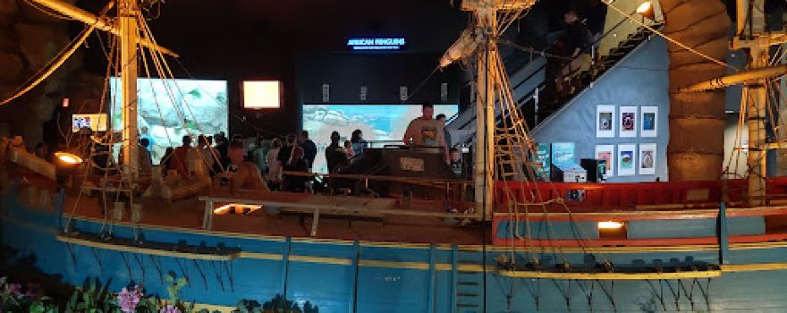 Jenkinson's Aquarium