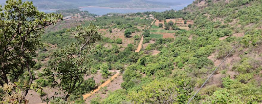 Flying Baba Zipline Adventure