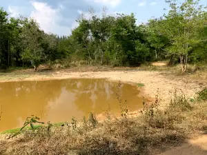 Elephant Observatory Site, Kui Buri National Park