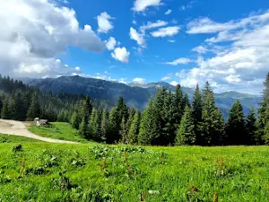 Kalcher Alm