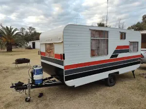 Camping Arbol Solo