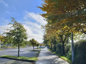 Ballinasloe GAA Club