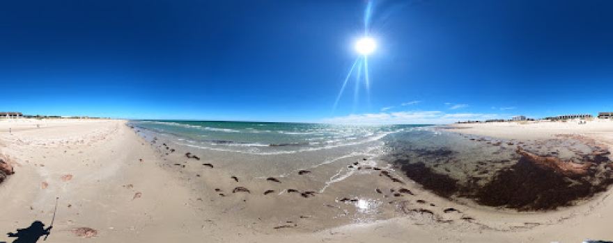 Tennyson Beach