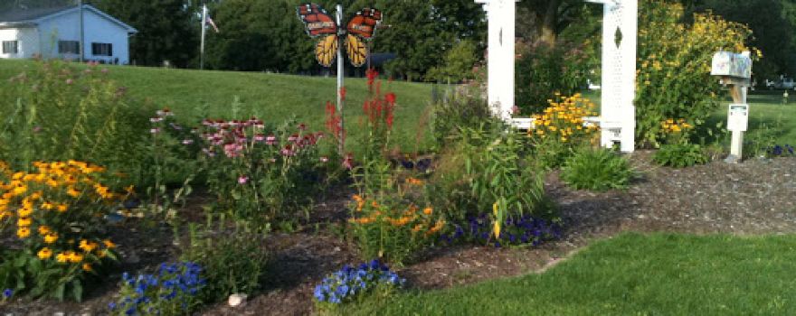 Gardens for Wings Community Pollinator Garden