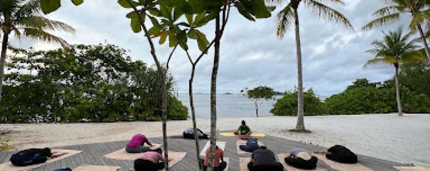 Savana Yoga