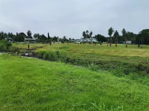 Raun Wara