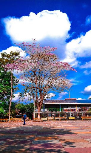 Parque Central de San Rafael Cedros
