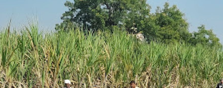Angalgavhan Sthan