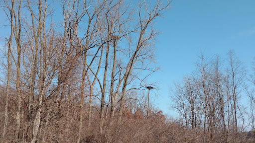 Compare 5 airports near Perkins Township