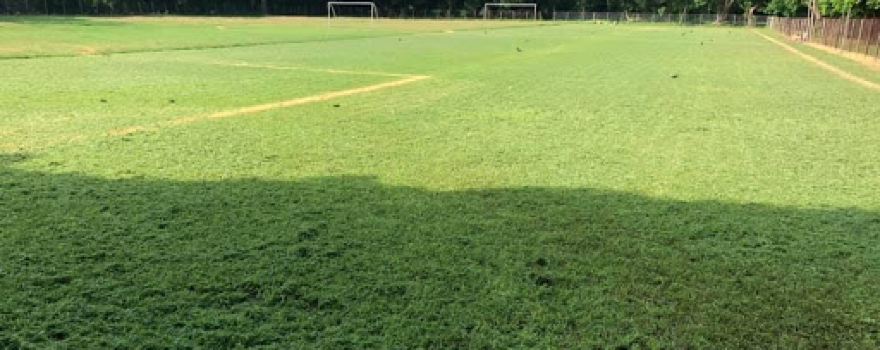 Cancha Peces Voladores OLOMEGA