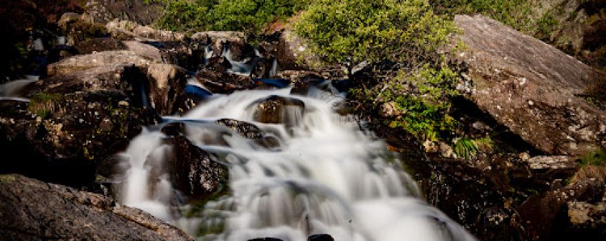 Llyn Idwal