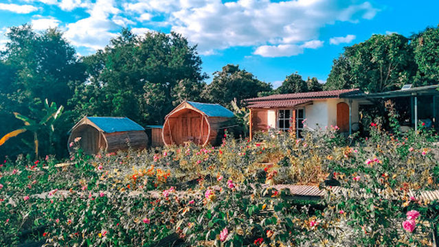 Tapunrak Workshop & Farmstay (ทาปันรักษ์)