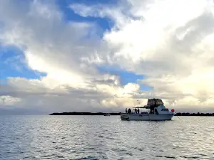 Reef Encounters Fishing Charters