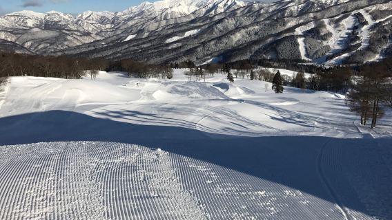Snow Wave Park Shiratori Kogen