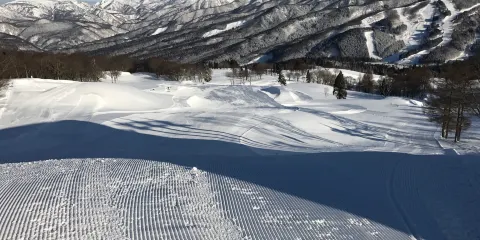 Snow Wave Park Shiratori Kogen