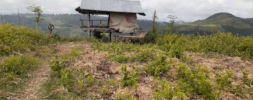 Wa'i kancio
