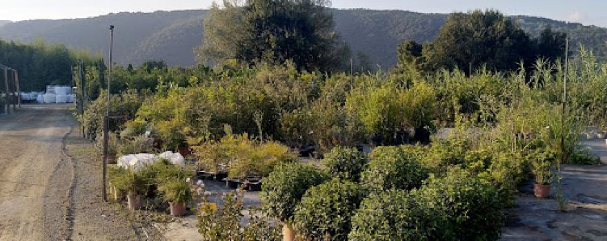 Jardineria Jaume