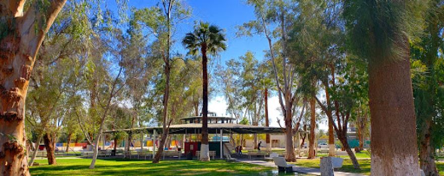 Ejido Nuevo León Park