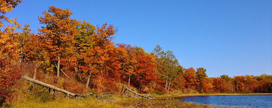 Mille Lacs Moraine Scientific and Natural Area (SNA)