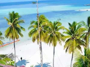Laut