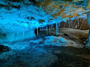 C. I. Animals Glacial Avin and Cave Peruyal
