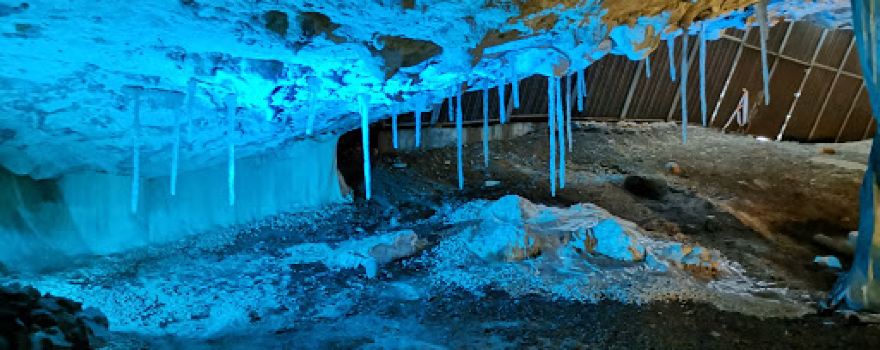 C. I. Animals Glacial Avin and Cave Peruyal