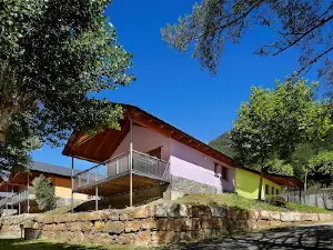 CAMPING PINETA S.L.