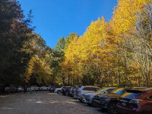 Whiteside Mtn Trail