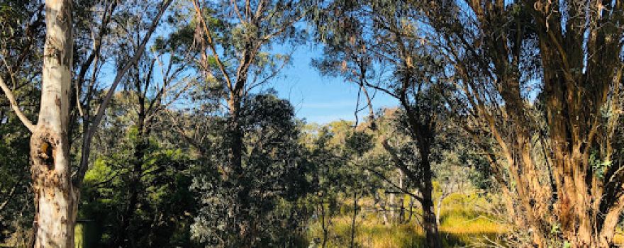 Clarkesdale Bird Sanctuary