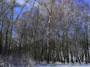 House of Culture "Yasnaya Polyana"