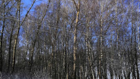 House of Culture "Yasnaya Polyana"