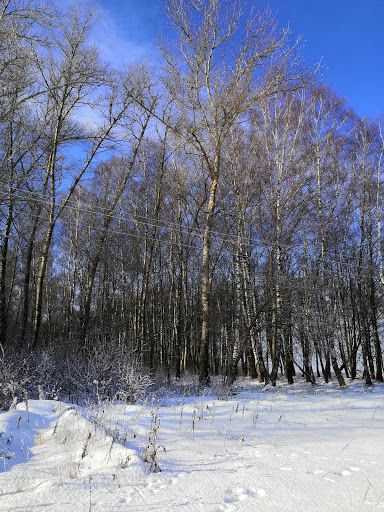 House of Culture "Yasnaya Polyana"
