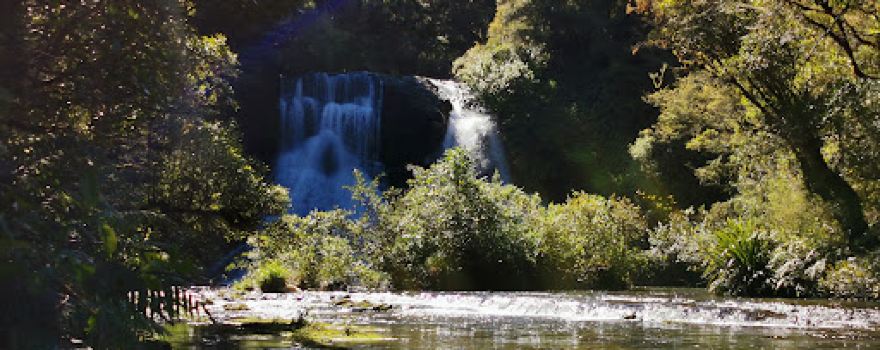 Aniwaniwa Falls