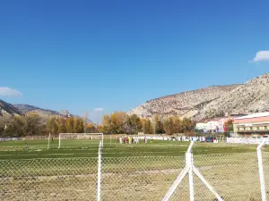 Nallıhan Stadyumu