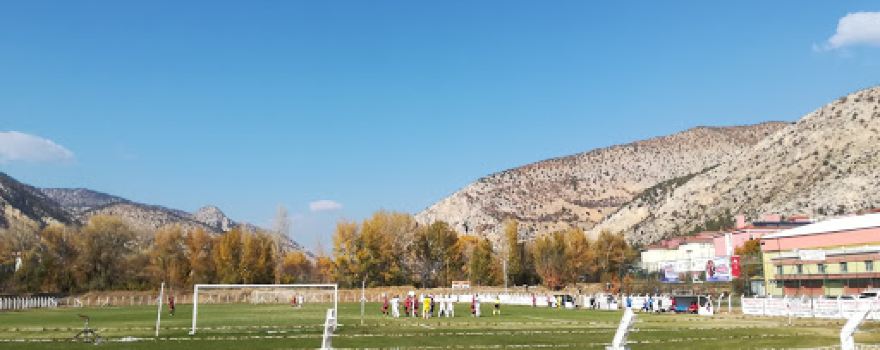 Nallıhan Stadyumu