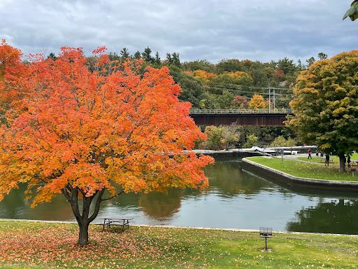 Rideau Canal, Locks 46 - 49 - Kingston Mills