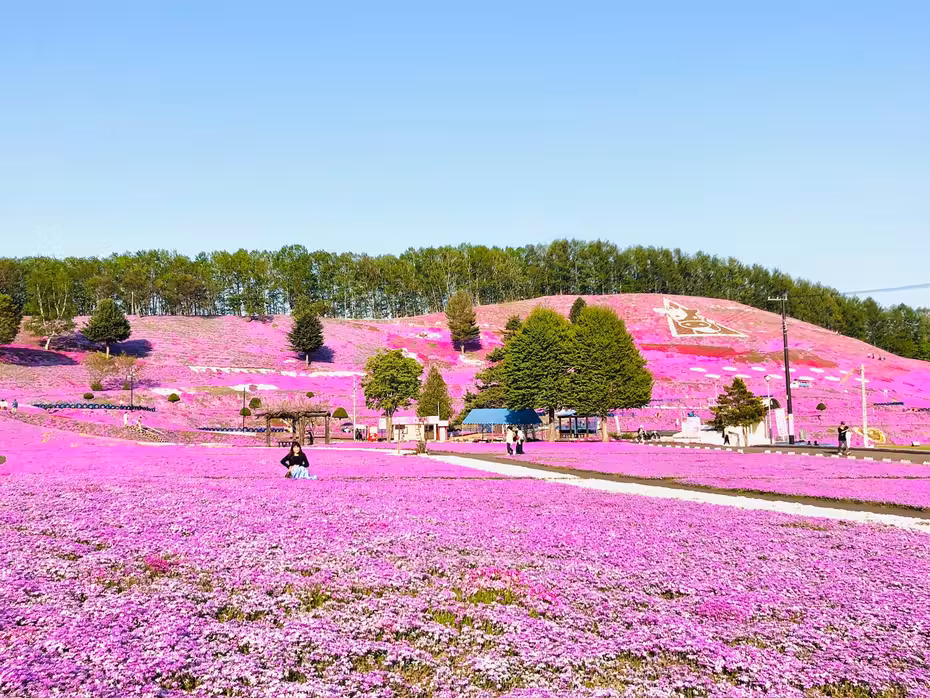 ตั๋วเครื่องบินริชิริไปเมมังเบทสึ