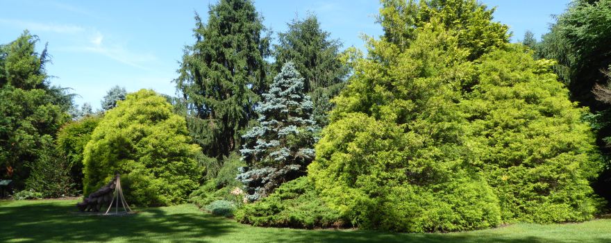 Meadowlark Botanical Gardens