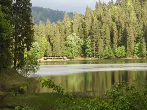 Национальный природный парк «Сыневыр