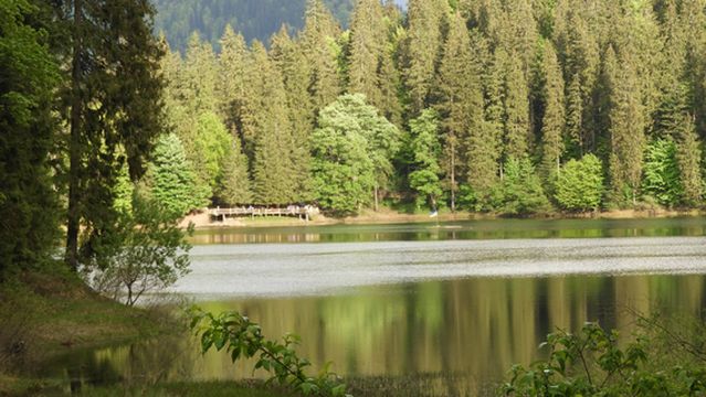 Synevyr National Park