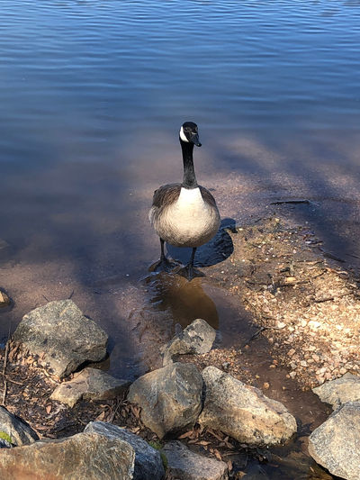 Frank Liske Park