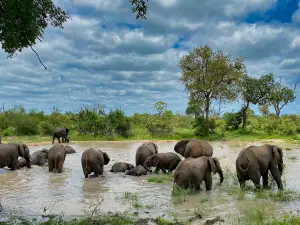 Malelane Gate @ Kruger National Park