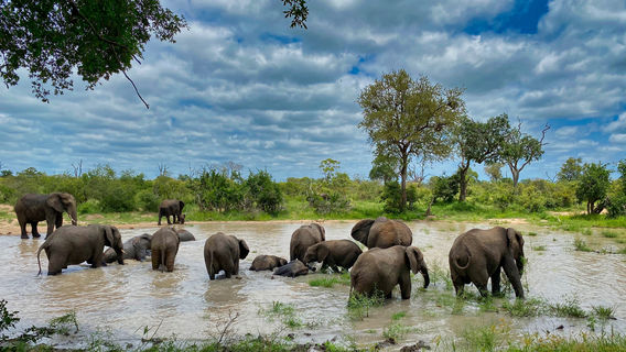 Malelane Gate @ Kruger National Park